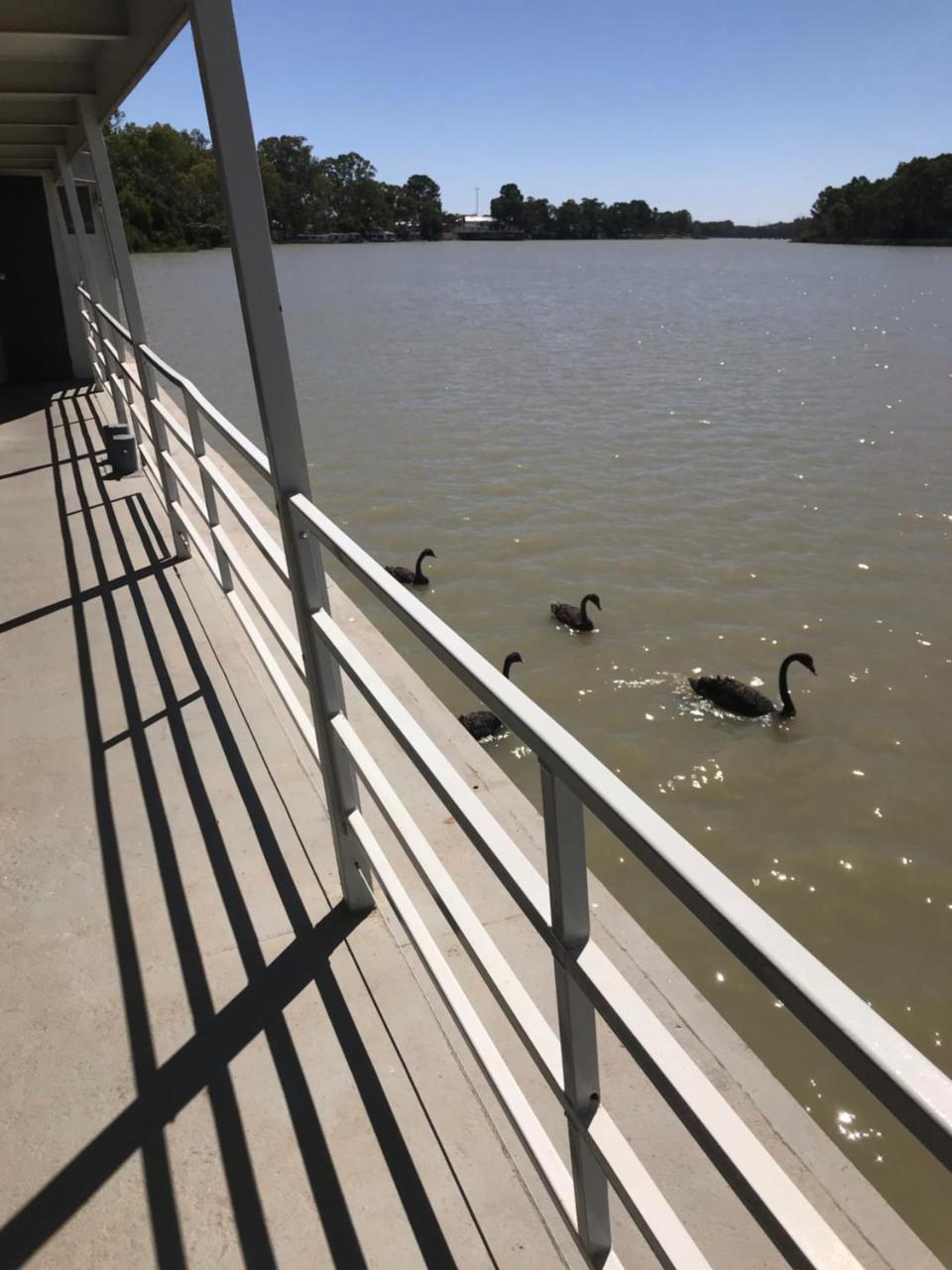 Отель Murray River Queen Ренмарк Экстерьер фото